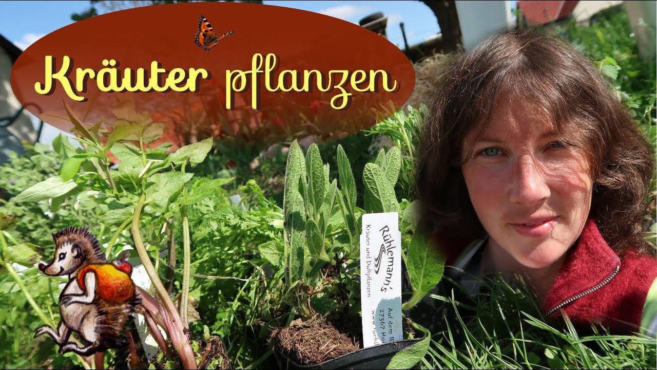 Krauter Pflanzen Im Garten Unboxing Ruhlemanns Krauter Youtube