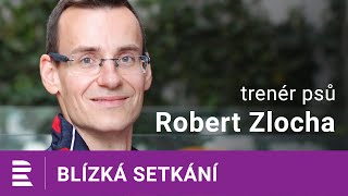 Robert Zlocha: Klidně si vyberte psího parťáka z útulku a peníze vložte do výchovy