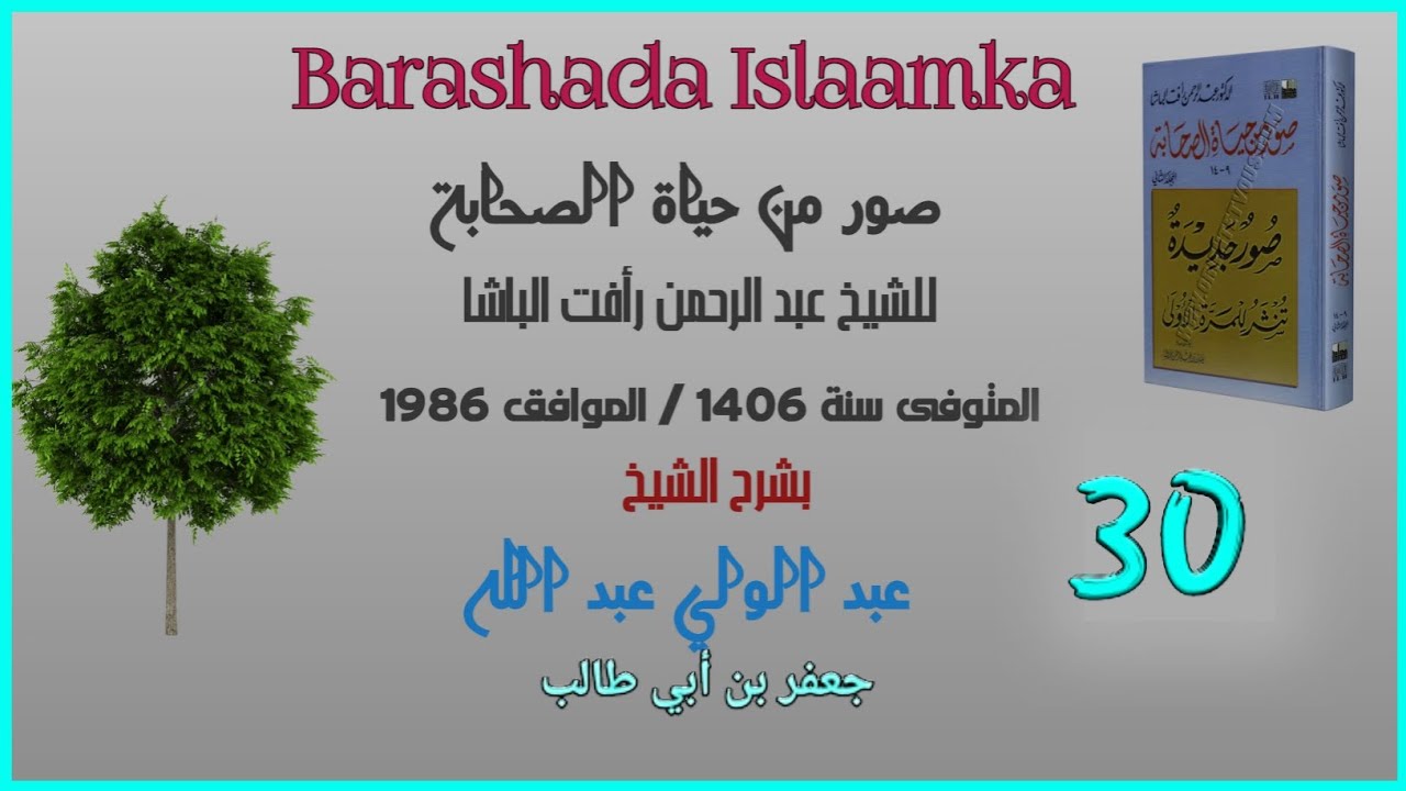 Darsigii 030 Suwar Min Xayaati Saxaaba | jacfar Binu Abii Daalib | Sh C/weli C/laahi