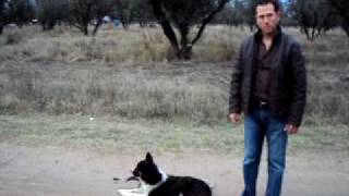 Frida paso de mando 4 Frida paso de mando 4