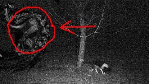 CHUPACABRA ATTACKS DOG!