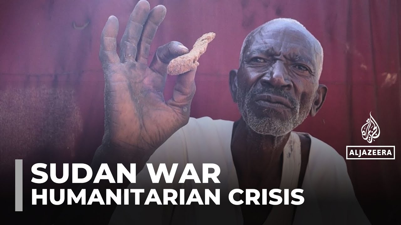 "نحن نعاني": سكان الفاشر في السودان يأكلون علف الحيوانات من أجل البقاء