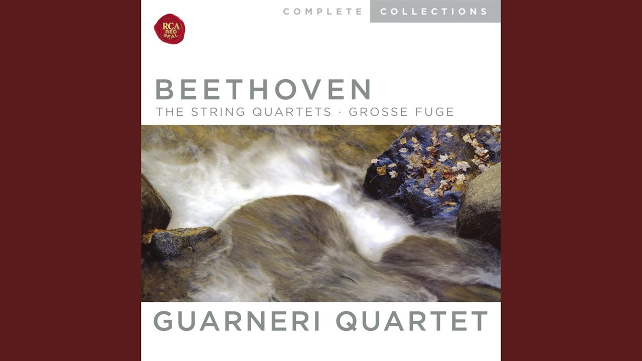 String Quartet No. 14 in C-Sharp Minor, Op. 131: VI. Adagio quasi un poco andante String Quartet No. 14 in C-Sharp Minor, Op. 131: VI. Adagio quasi un poco andante