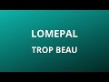 Lomepal - Trop beau (+ paroles) Mp3 Song