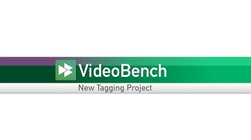 VideoBench Manual - New Tagging Project
