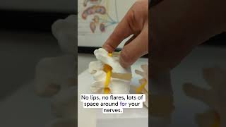 Chiropractor Reveals the Truth of the Spine #chiropractic #science #toronto