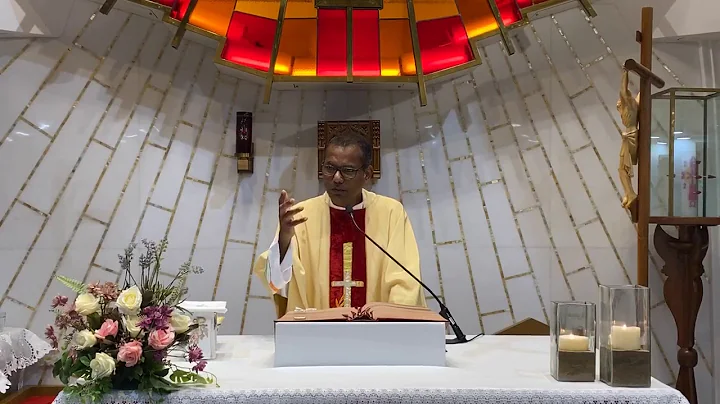 Homily - solemnity of the Nativity of St John the Baptist