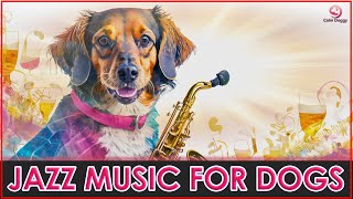 Jazz Music for Dogs to Calm Down, Relax & Sleep | Dog Music Calming Aid for Relaxation