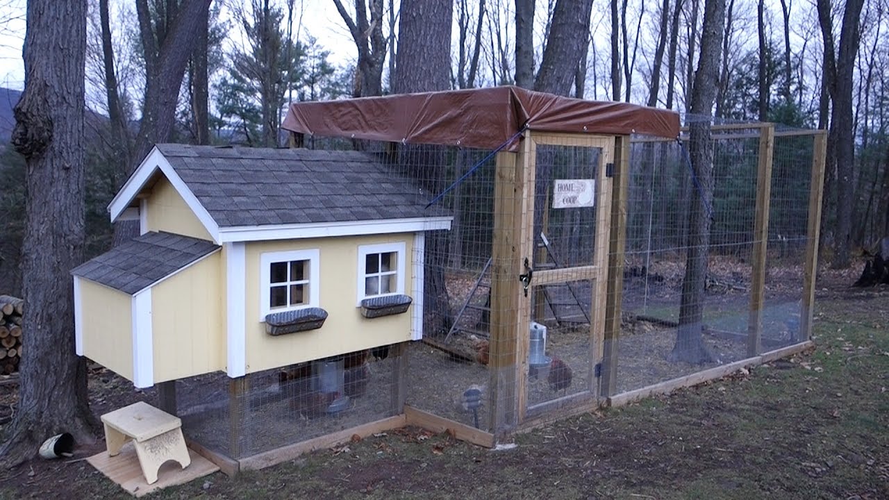 AWESOME CHICKEN COOP & RUN! YouTube