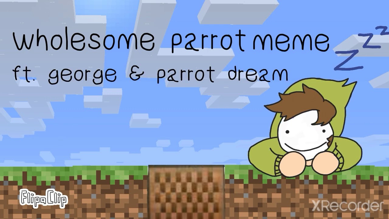 Wholesome Parrot Meme!- FT. Dream & George