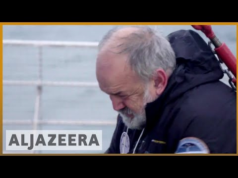 Krill fishing threatens Antarctic ecosystem, warn conservationists | Al Jazeera English