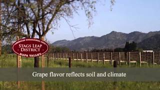 Napa Valley Rocks: Viticulture