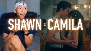 Shawn Mendes & Camila Cabello - Señorita (Music Video) | REACTION & REVIEW