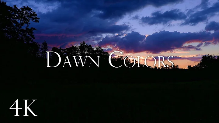 Dawn Colors - Serene Nature at Dawn, Ambience with...