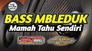 BASS MBLEDUK BIKIN SENAM JANTUNG !! CEK SOUND TERBARU