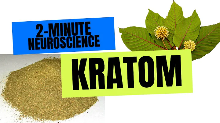 2-Minute Neuroscience: Kratom