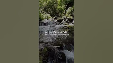 وقالوا اتخذ الرحمن ولدا - ياسر الدوسري سورة مريم
