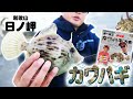 岬丸さんでカワハギ釣りを練習!