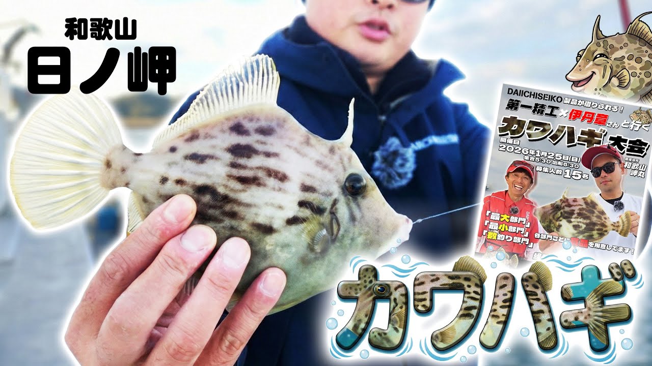 fishing MURAI JAPANです Practice fishing for filefish on Misaki Maru! - YouTube