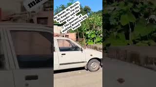 The Beautiful Journey Of Growth Nurturing A Seed Brand Into A Global Tree.