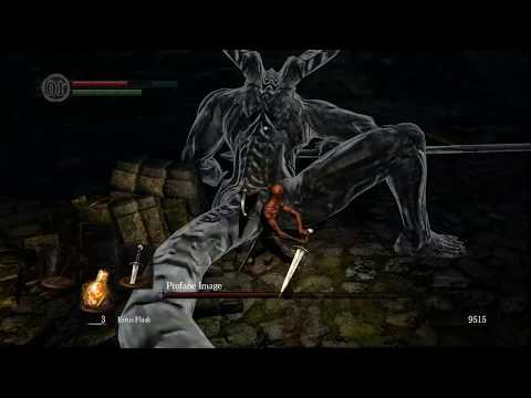 NEW DARK SOULS BOSS FIGHT?! Daughters of Ash OVERHAUL MOD!