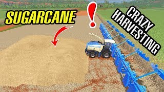 Farming Simulator 17:  1000 Meters Sugarcane Cutter !!! KRONE BigX SugarCane  Harvesters!!