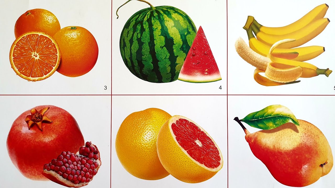 Все фрукты их блокс фрукт. Фрукты картинки с названиями. Bloks Fruits фрукты. Рисунки фруктов в Блокс фрукт. Фрукты с названиями для детей.