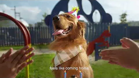 40 SUPER YEARS of SM Supermalls