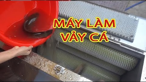 Máy đánh vảy cá lóc siêu tốc, Máy đánh vảy cá lóc chỉ trong vài giây