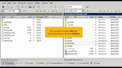 Managing Files in WinSCP