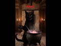 #magic #ritual