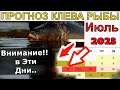 Лунный календарь клева рыбы на Июль 2023 года. Прогноз клева рыбы на неделю Календарь клева Июль