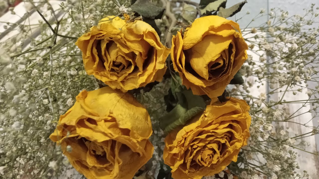 Aprenda a deixar suas flores com as cores vivas e com efeito siliconado