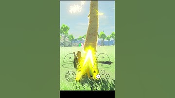 Tree launch #short