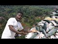 How a young man moved from south africa to established biggest fish farm in congo