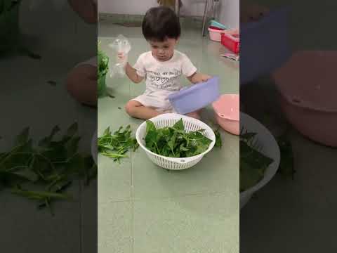 Video Cherry phụ mẹ lặt rau #shorts - youtube