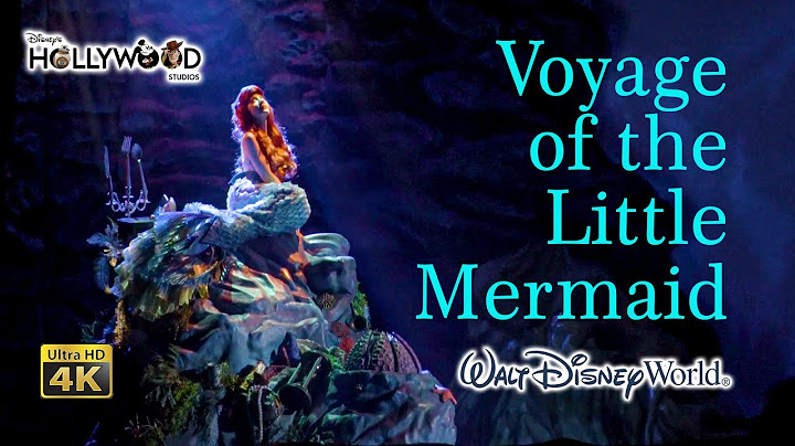 Disney world voyage of the little mermaid