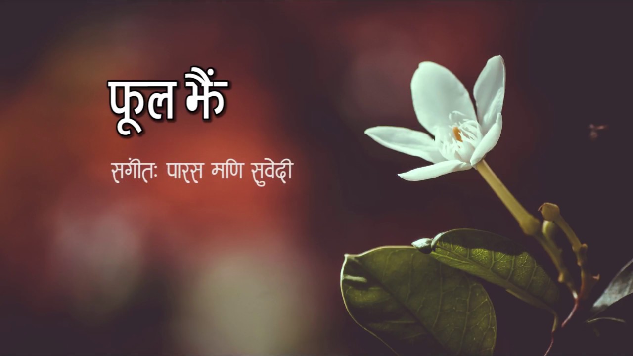 Download Phool Jhai || फूल झैं || New Nepali Pop Song || Santosh Lama || Paras Mani Subedi || Madan Kumal ||