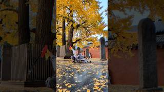 AUTUMN DREAM | #SHAOLINTEMPLE #KUNGFU #SWORD #WUXIA #SHAOLINMONK #SHORTS
AUTUMN DREAM | #SHAOLINTEMPLE #KUNGFU #SWORD #WUXIA #SHAOLINMONK #SHORTS AUTUMN DREAM | #SHAOLINTEMPLE #KUNGFU #SWORD #WUXIA #SHAOLINMONK #SHORTS
