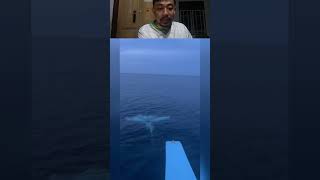 uji coba kapal selam.#fypシ゚viral #reaction #ikan