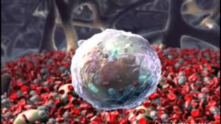 Thrombopoietin