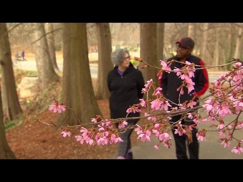 Video: Walking With A Psychologist As A Form Of Psychotherapy