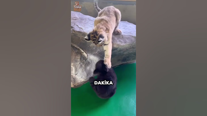Bu ikilinin Sıkı Birer Dost Olacağını Kimse Bilemezdi ❤️