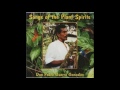 Don Pedro Guerra Gonzales - Songs Of The Plant Spirits - 2001 [FULL ALBUM]