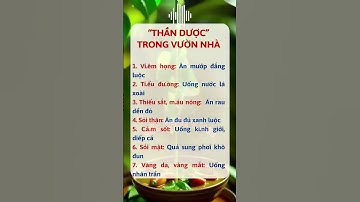 Bí Quyết Giữ Gìn Sức Khỏe Toàn Diện - Sức khỏe vàng #dsdaiminh #dsngocminh #nhathuocdaiminh #shorts