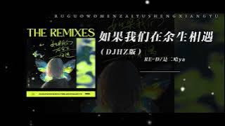 RE-D / 是二哈ya - 如果我们在余生相遇（DJHZ版）【动态歌词】「如果未来碰上伯乐」🎵｜爆款甜歌｜抖音爆款｜表白专属｜星座｜洗脑旋律｜浪漫｜
