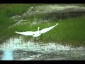 Abraham Hicks-Do only what you really want to do . Abraham Hicks-Do only what you really want to do .