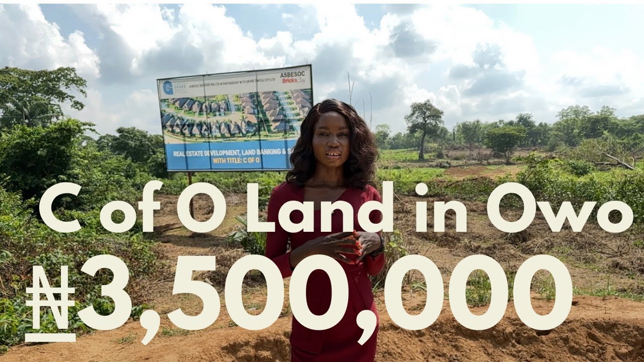 Inside A 3 5Million Most Affordable C Of O Land For Sale In Enugu Inside a 3 5million most affordable c of o land for sale in enugu