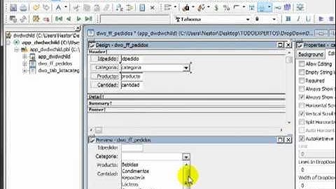 PowerBuilder - DropDownDWChild (Parte1)