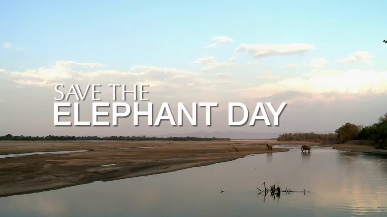 botswana tourism Save The Elephant Day
